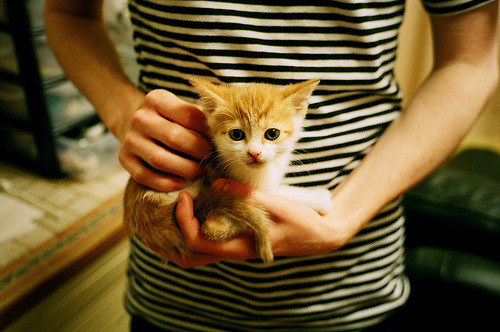 “青训合作联盟扩大，跨区域培养足球新力量”，足球青训联系方式