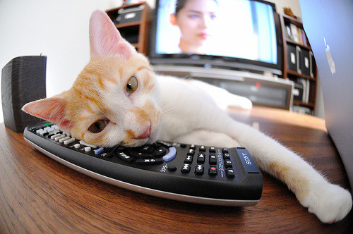 “防守战术完全解析:联盟顶级防线如何布置”,联盟防守效率球队排名