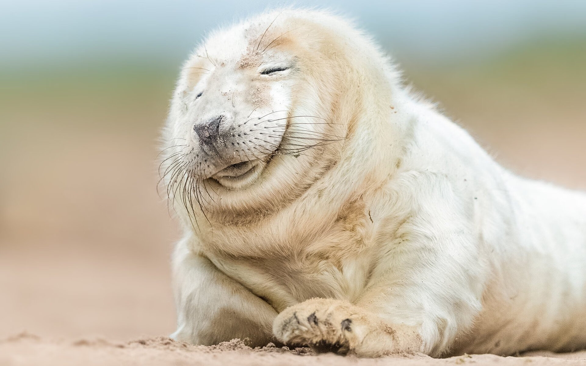 《英雄联盟亚洲赛区,强队鏖战正酣》,英雄联盟亚洲赛区的简称