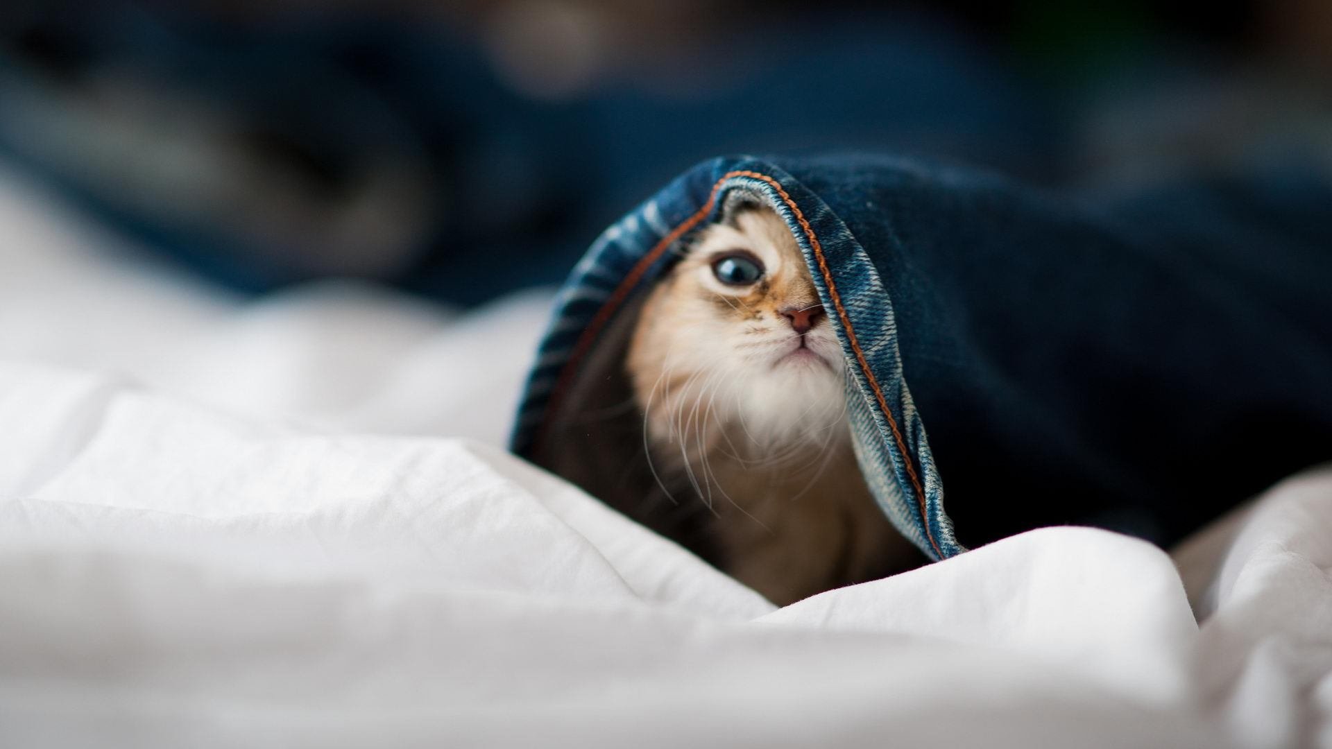 《解密：电竞职业选手的日常训练安排》，电竞选手的训练要求