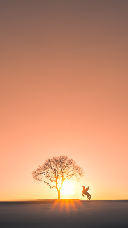 国际影响力：NBA在全球的文化推广新路径，nba体现的美国文化