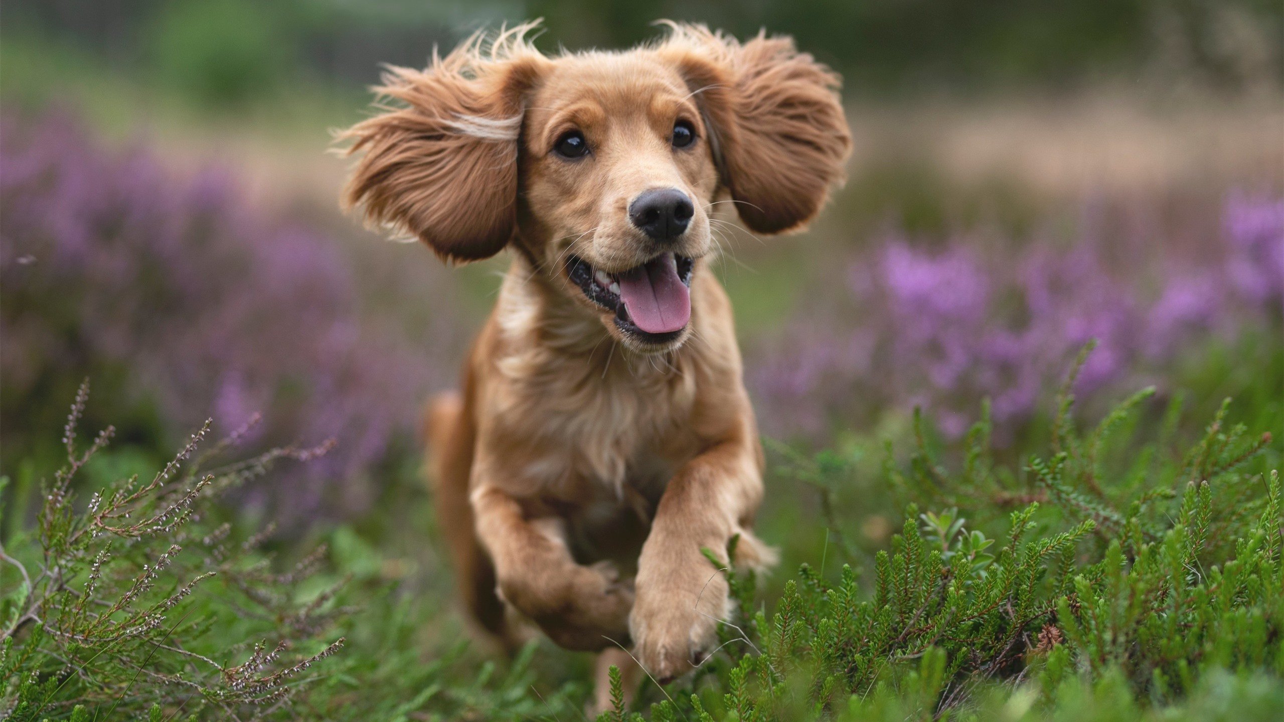 极端天气:影响比赛的自然因素,极端天气_影响比赛的自然因素有哪些