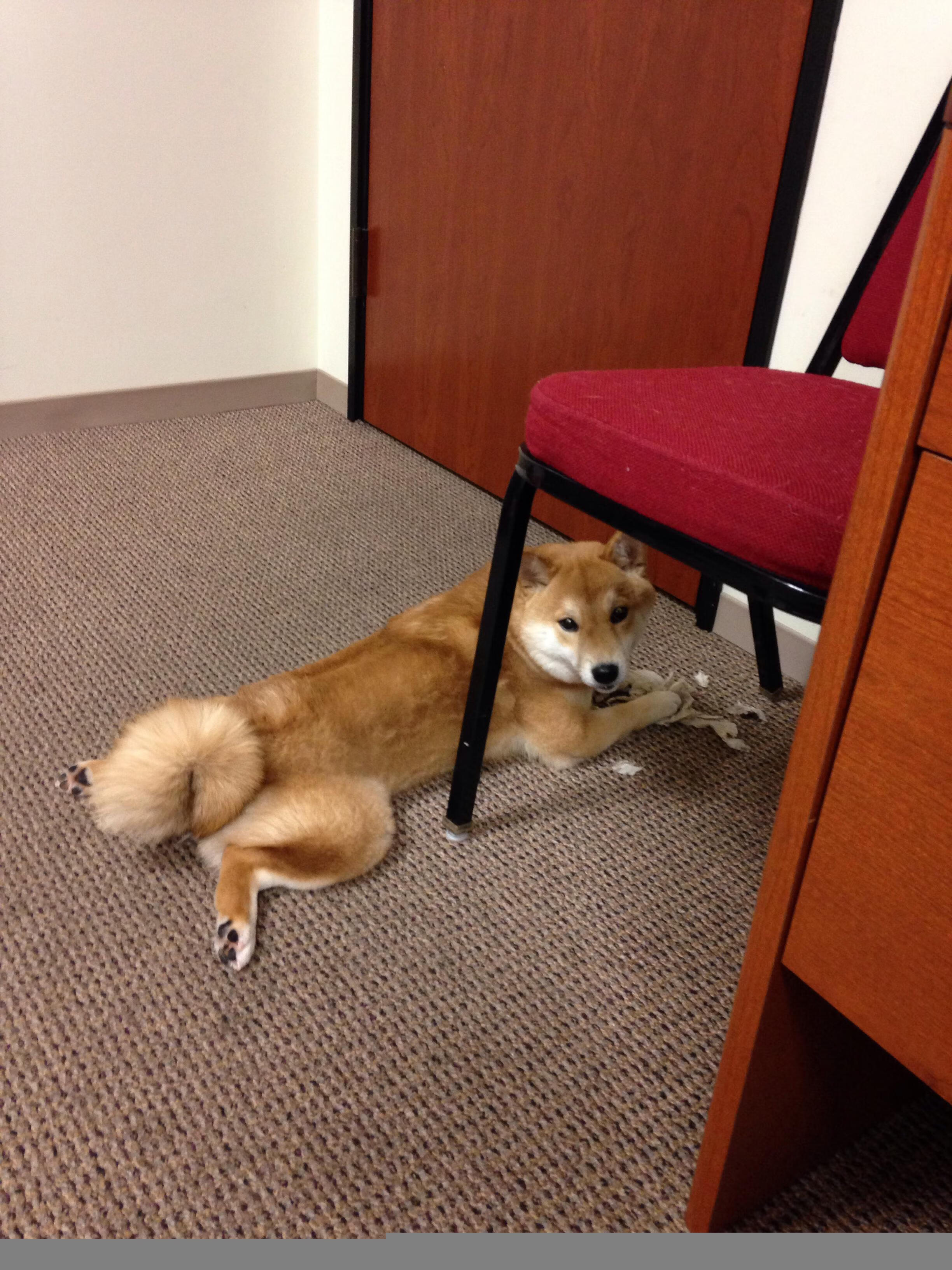 特色篮球主题公园成为城市文化旅游新热点,篮球公园名称