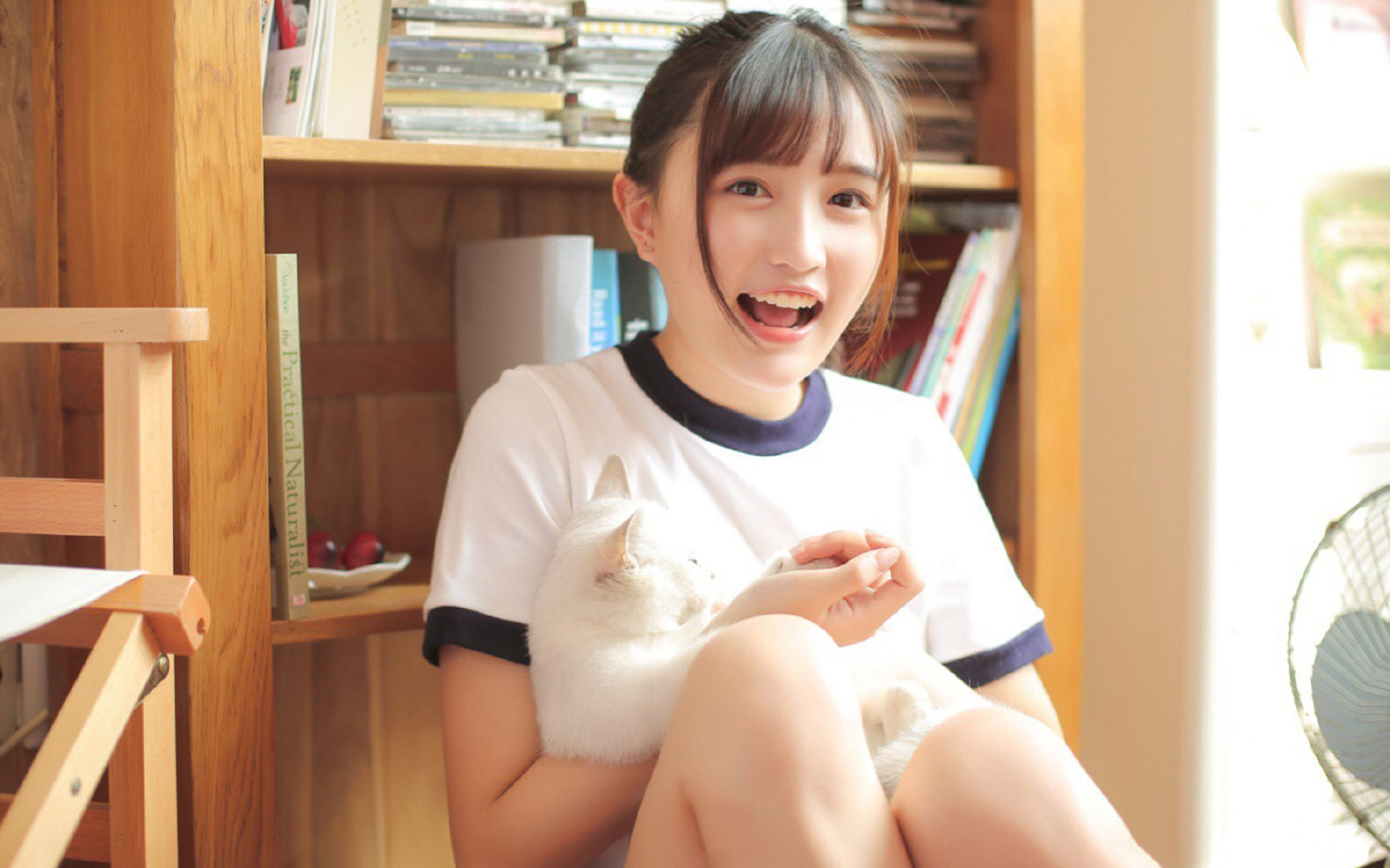 爆款主题:年度“最难局”排行榜