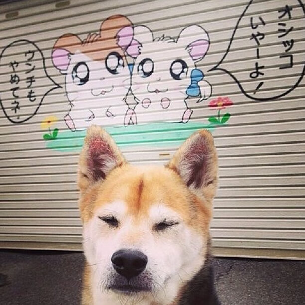 魔术打造“球员原声日”,全场比赛无解说,仅留现场音,魔术的球员