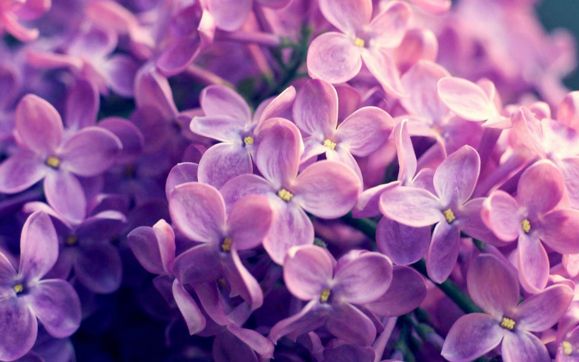 高空俯冲体验,突破自我的极限挑战,高空俯冲是什么意思