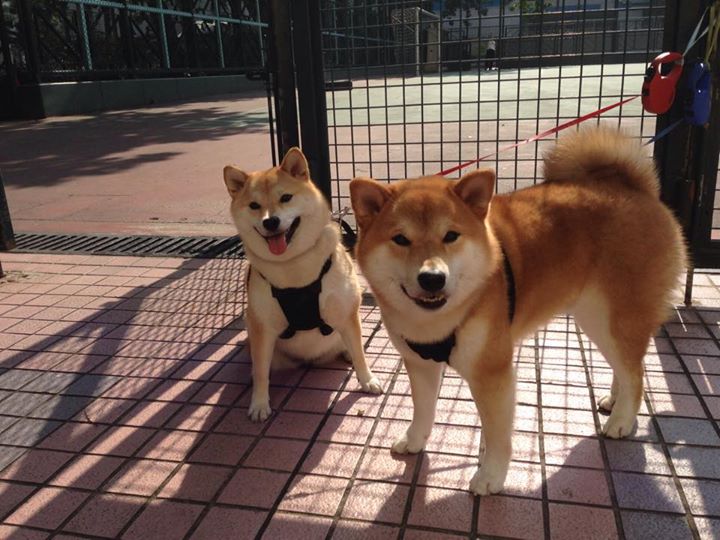 WE选手个人数据统计领先,选手比赛数据